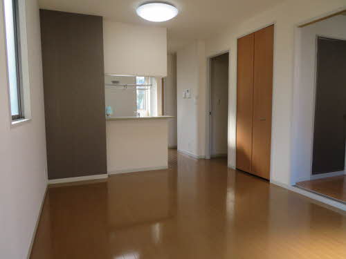 カメリア D101号-2