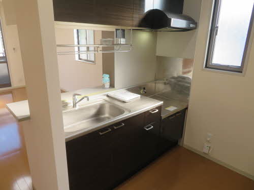 カメリア D101号-9