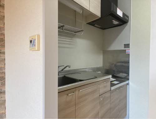 シェソワ 0101号-10