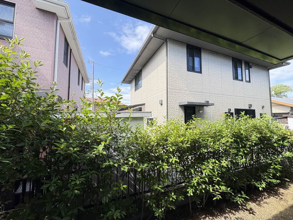 パインツリー1 A102号-13
