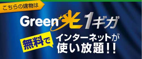 フェリスA 0201号-12