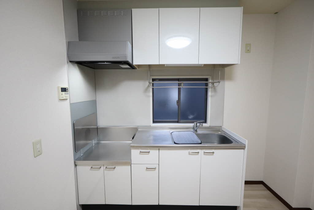 Sugar Haim D201号-5