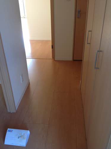 リラアンテ 0103号-3