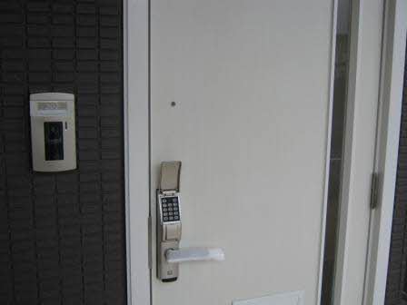 プロヌーブ　ジョイ A202号-2