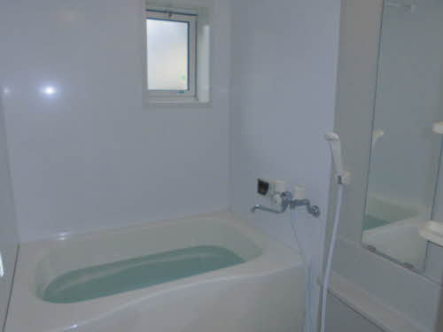 フリージア 0202号-10