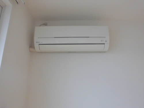 フリージア 0202号-14