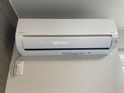 ベレオペリファニア 0105号-9