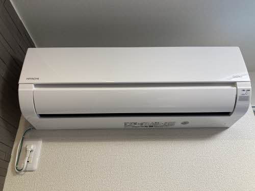 ベレオペリファニア 0205号-9