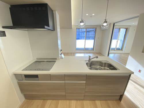 ベレッツァ本郷 0305号-4