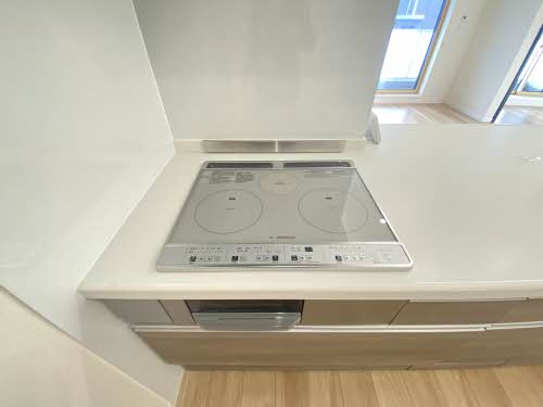 ベレッツァ本郷 0305号-5