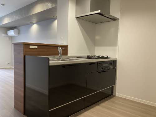 リオリエント玉宮 0206号-3