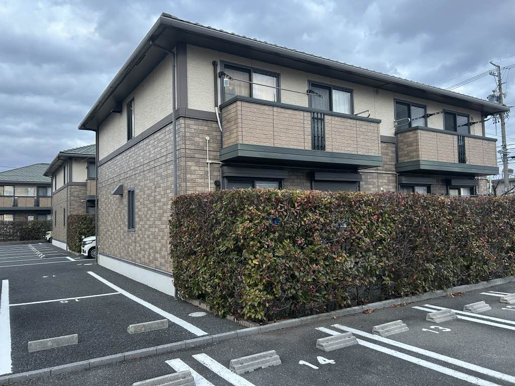 ウィルモア C206号-13