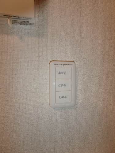 Ｉｓｏｌａ　Ｅｔｅｒｎａ 0101号-11