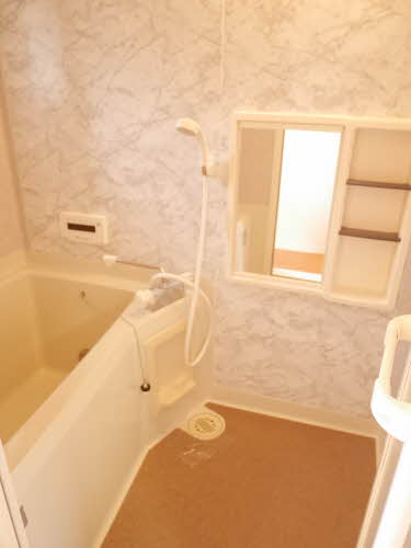 ラプランタン B201号-11