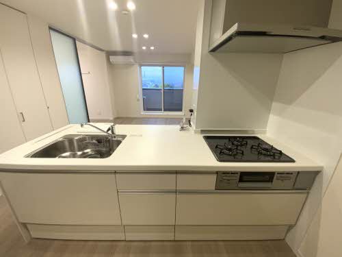 メゾン　ド　グリナージュ 0203号-3