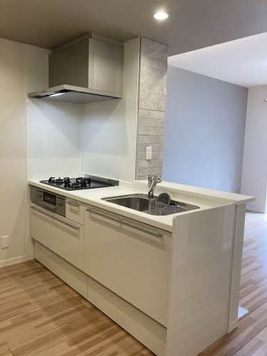 ＥＣＯ＆ＣＬＥＡＮ　ＨＯＵＳＥ　ＮＡＷＡ－ＫＩＴＡ 0101号-6