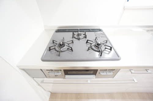 Ｇｕｒｉｓｈｉｎａ（グリシナ） 0301号-9