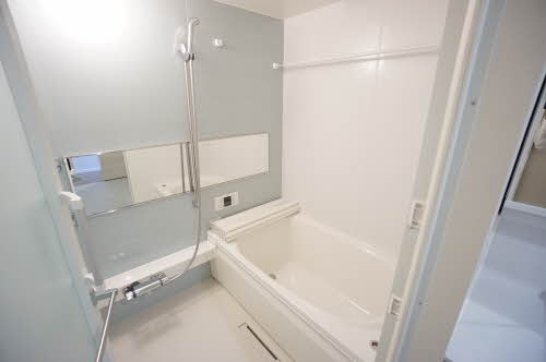 Ｇｕｒｉｓｈｉｎａ（グリシナ） 0301号-12