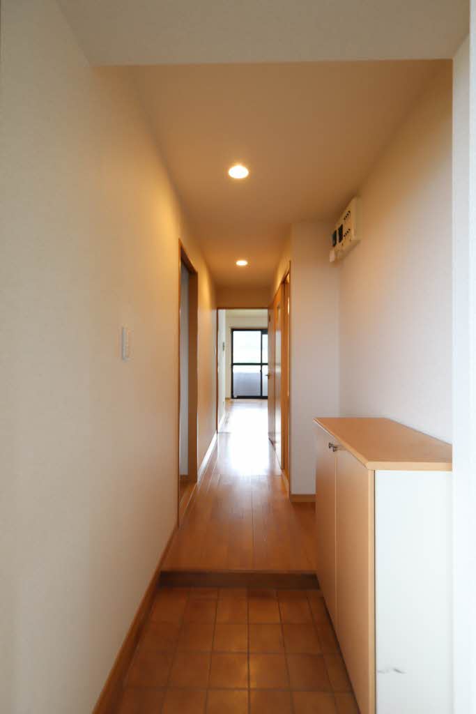 Limpia Parterre 0303号-12