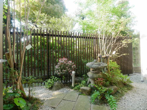 Ｂｌｏｏｍｉｎｇ覚王山 0203号-3