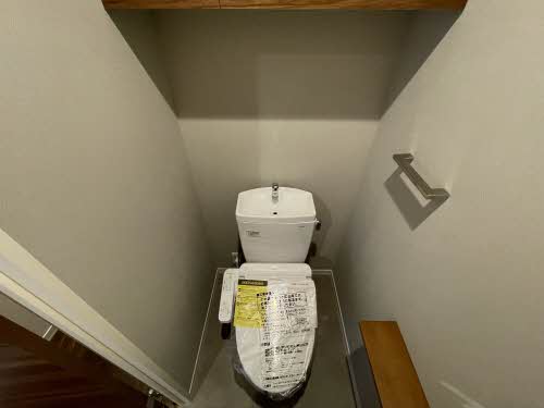 ライム　グリーン 0301号-6