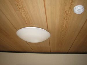 フレグランスホープフル 0102号-9