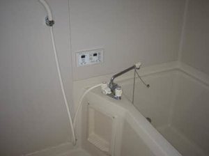 フレグランスホープフル 0102号-10