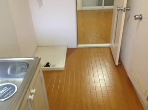 プラムコート 0105号-2