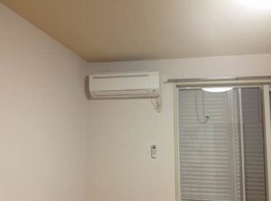 プラムコート 0105号-3