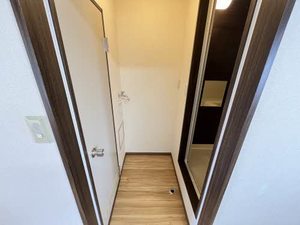 フレグランス桔梗 0203号-8