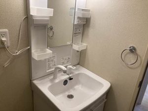 フレグランス梓 B201号-4