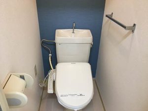 リバーサイドジュネス B203号-12