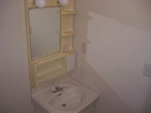 セサミハイツ A206号-3