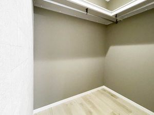 ソフィアよもぎ 0102号-10