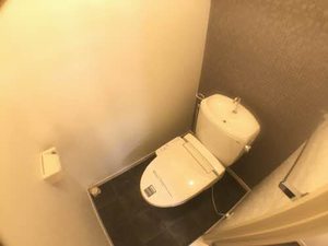 ほほえみ荘 0203号-9