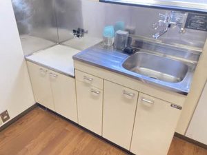 メゾンアプリコット 0102号-3