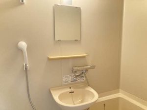 メゾンアプリコット 0102号-4