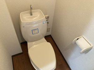 メゾンアプリコット 0102号-8