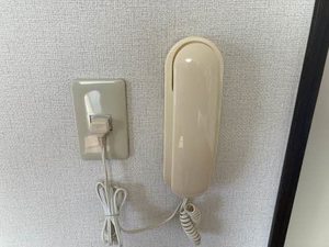 メゾンアプリコット 0102号-9