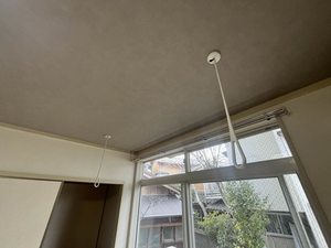 フレグランスマロン 0101号-8