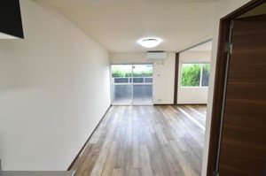 ミラクハナ 0101号-4