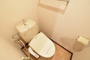 ミラクハナ 0101号-10