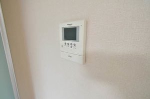 ミラクハナ 0101号-12