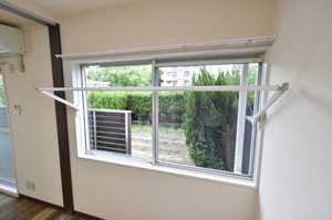 ミラクハナ 0101号-14