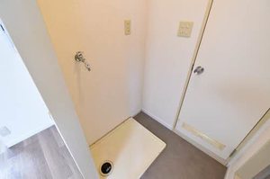 ミラクハナ 0201号-8