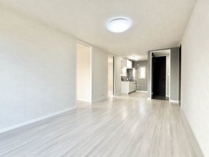 ビクトワール A102号-2