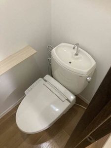 パストラルＫ 0205号-14