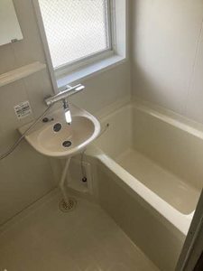 パストラルＫ 0205号-15