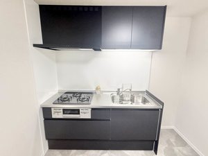 ヒルヴィレッジA 0101号-4