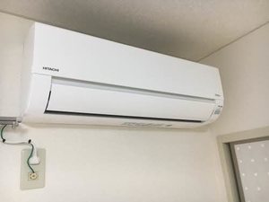 フレグランスアイビー A101号-12